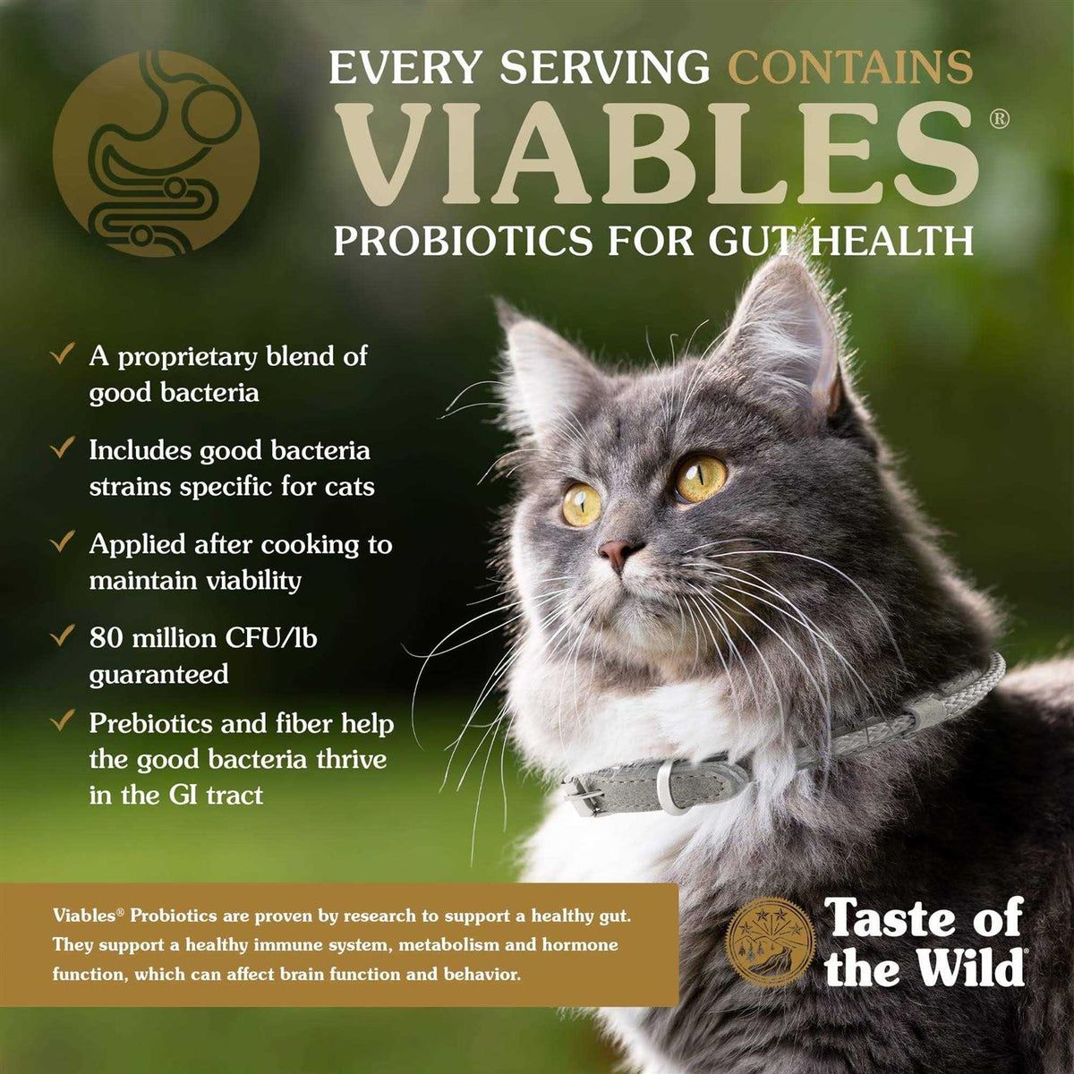 Lowland Creek Cat Food M910597