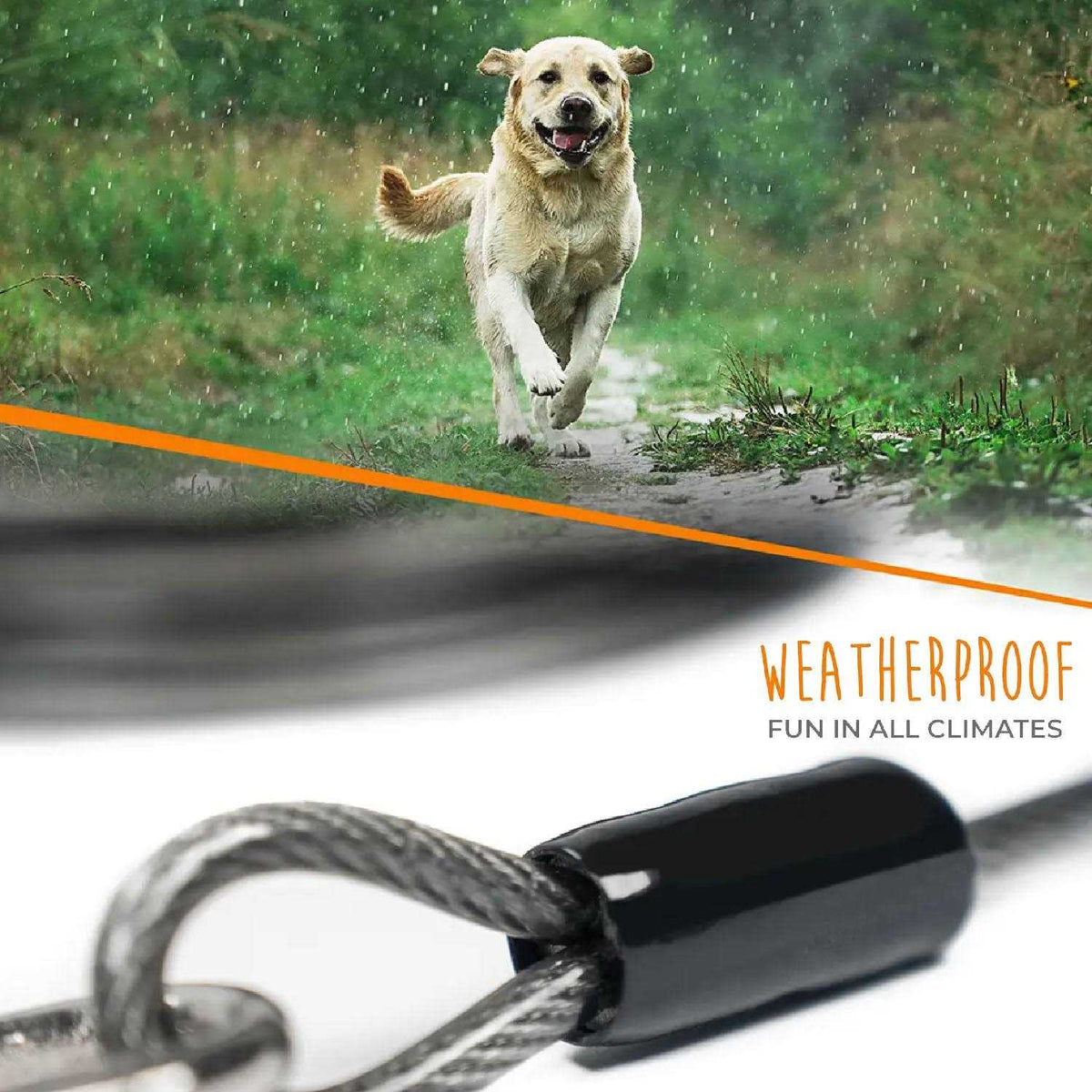 Dog Tie Out Cable E902