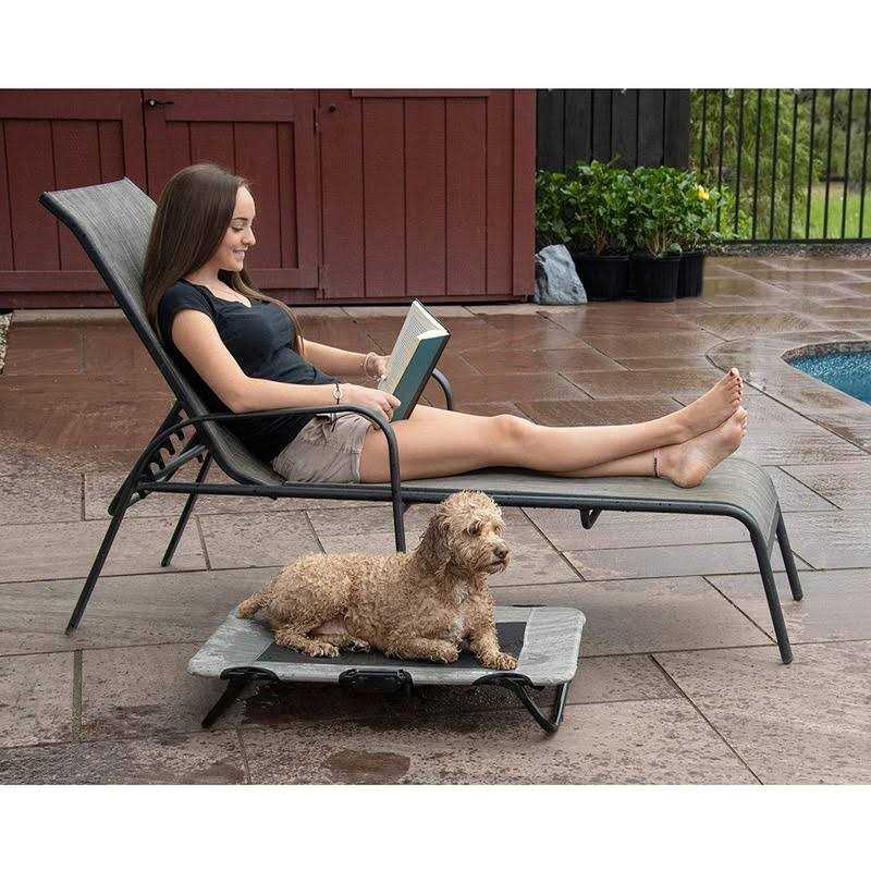 Elevated Pet Cot P6340