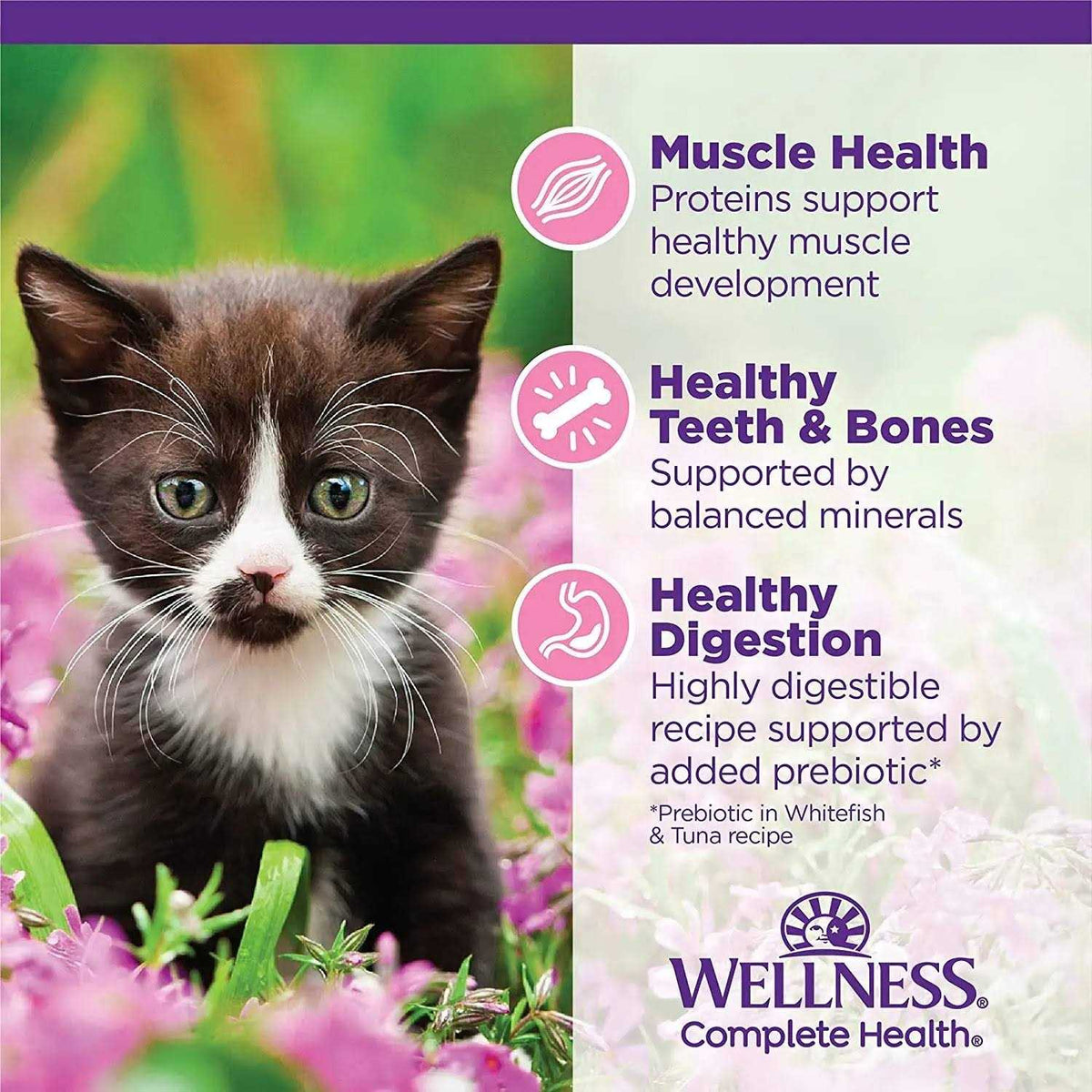Cat Food O449703