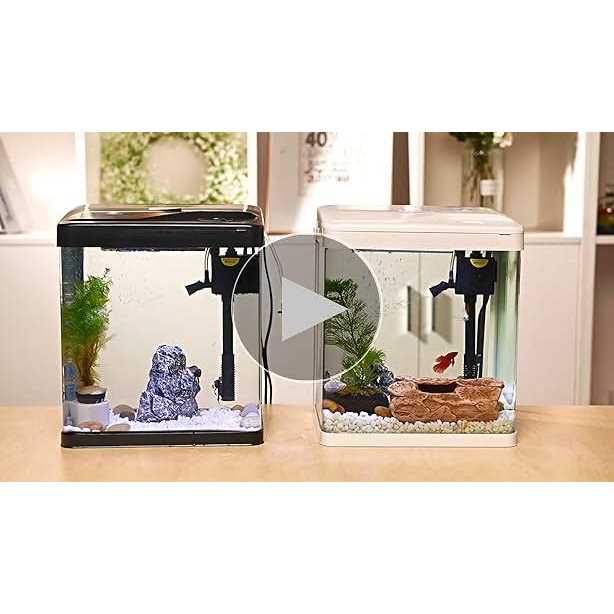 2 Gallon Glass Aquarium with Filter and Light U752621