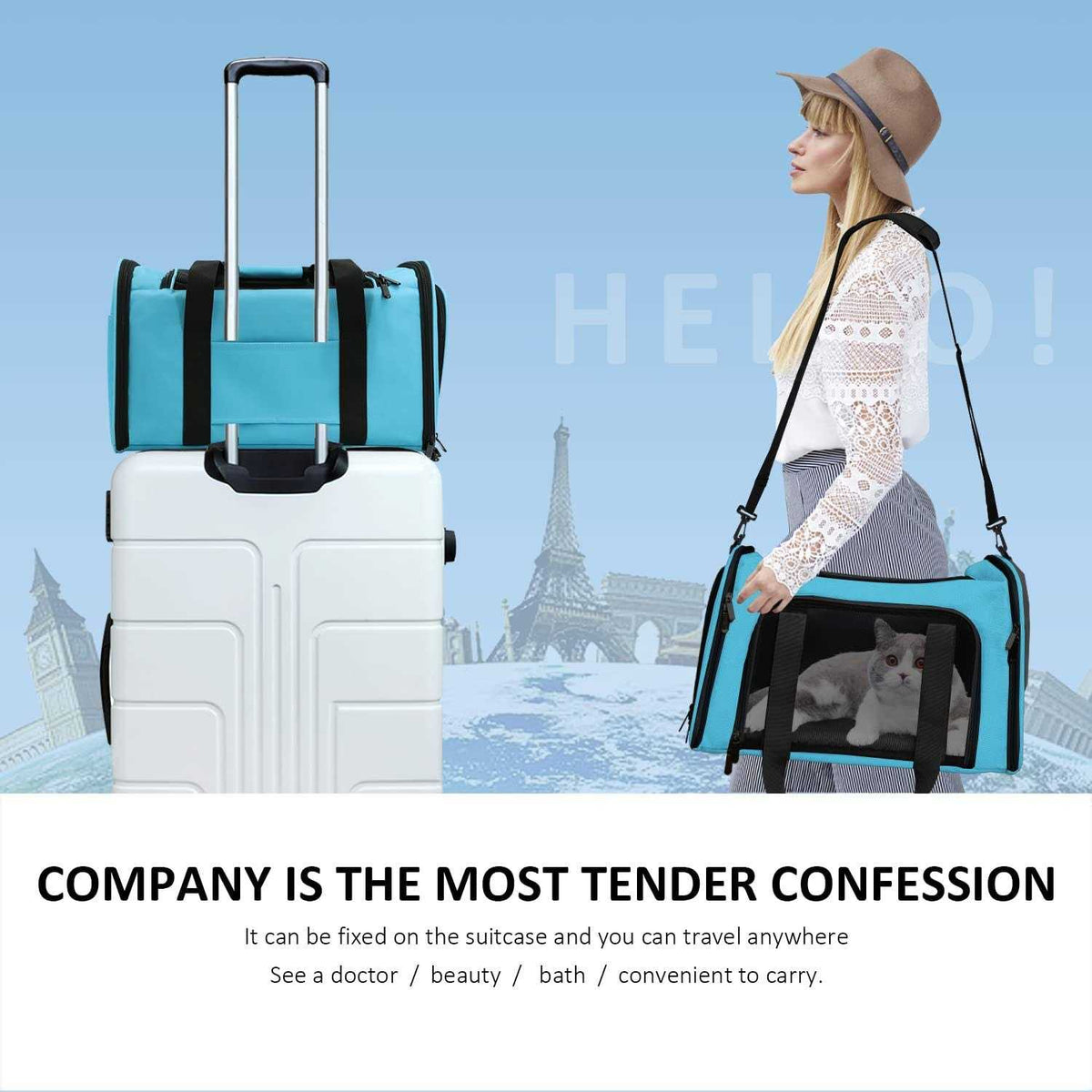 Cat Dog Pet Carrier for Small Medium Cats Puppies up to 15 Lbs P644458