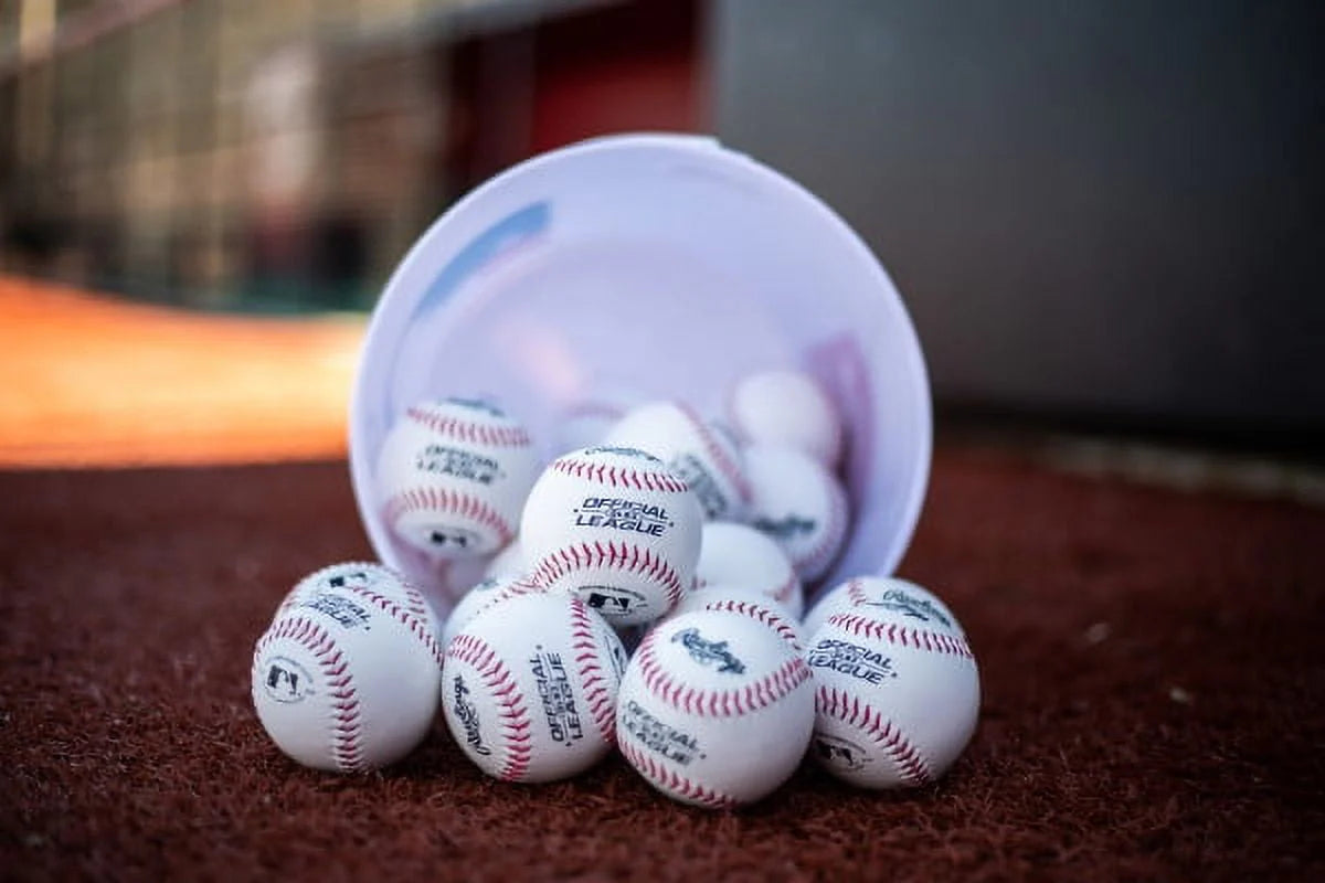 24 Pack Baseballs W431244