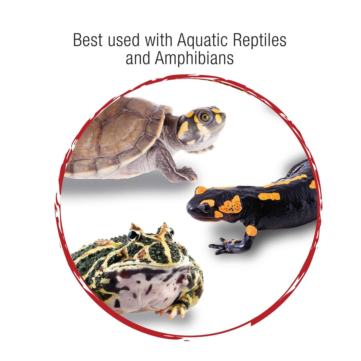 Aquatic Reptile Internal Filter J964853