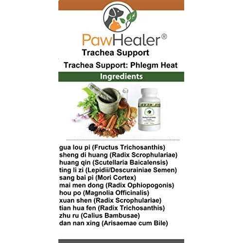 Dog Cough Remedy J3711