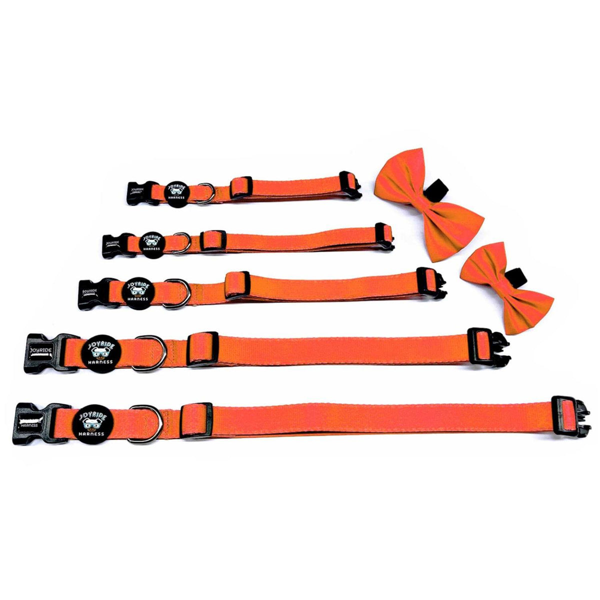 Dog Collar with Removable Bow Tie W5725