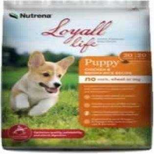 Chicken & Brown Rice Puppy X645236