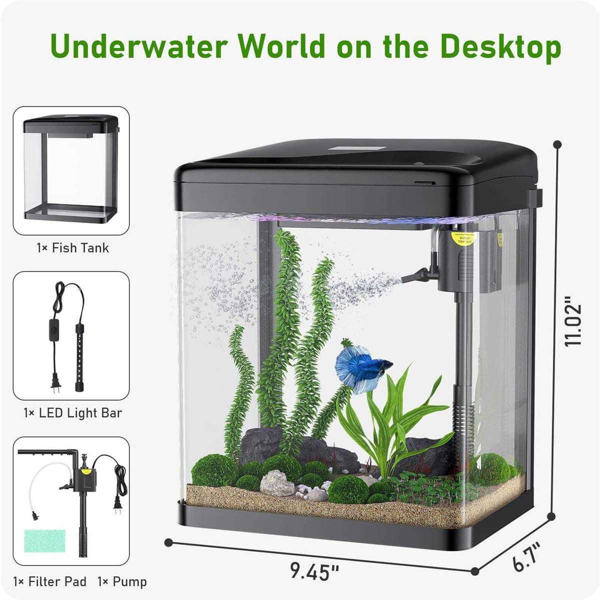 2 Gallon Glass Aquarium with Filter and Light U752621