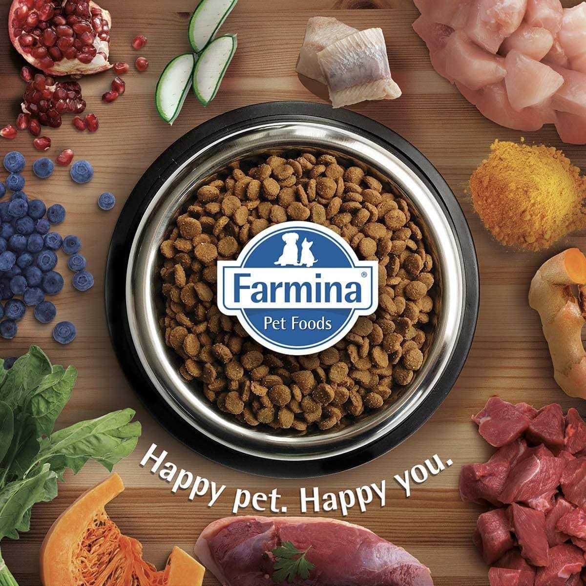 Adult Cat Food N369