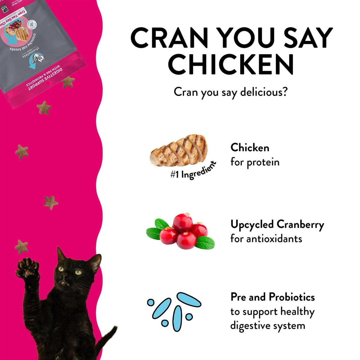 Crunchy Cat Treats Z9390