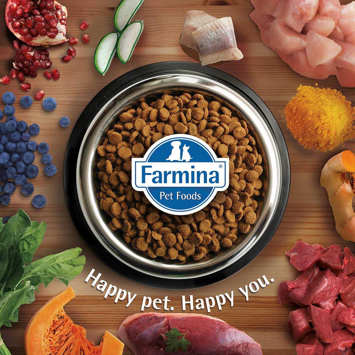 Lamb Dry Cat Food W5704