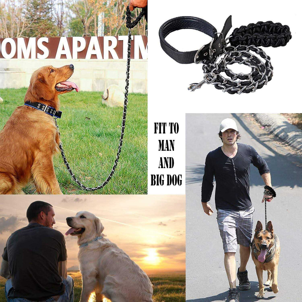 Metal Dog Leash with Collar Y6709