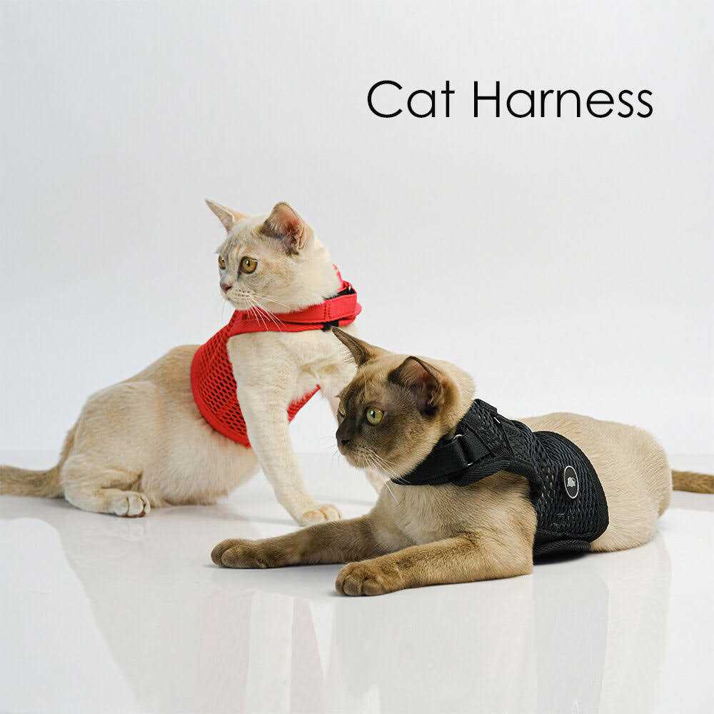 Cat Harness F457