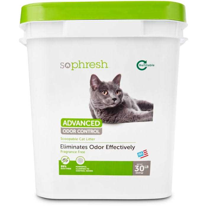 Fragrance Free Scoopable Cat Litter I3728