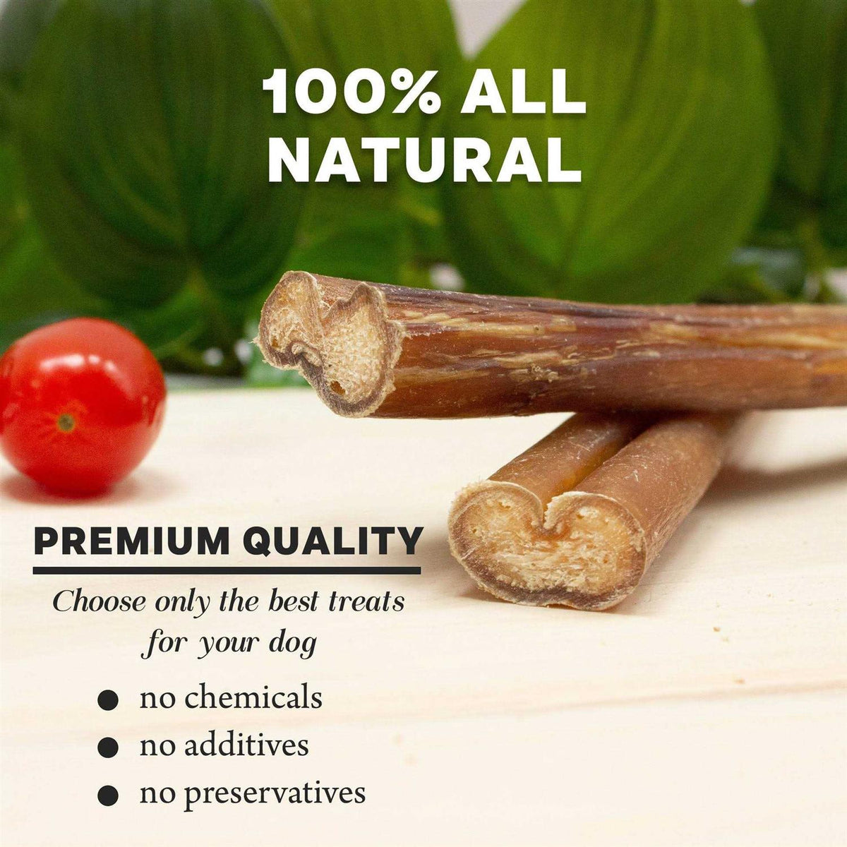 Bully Sticks Dogs G72197