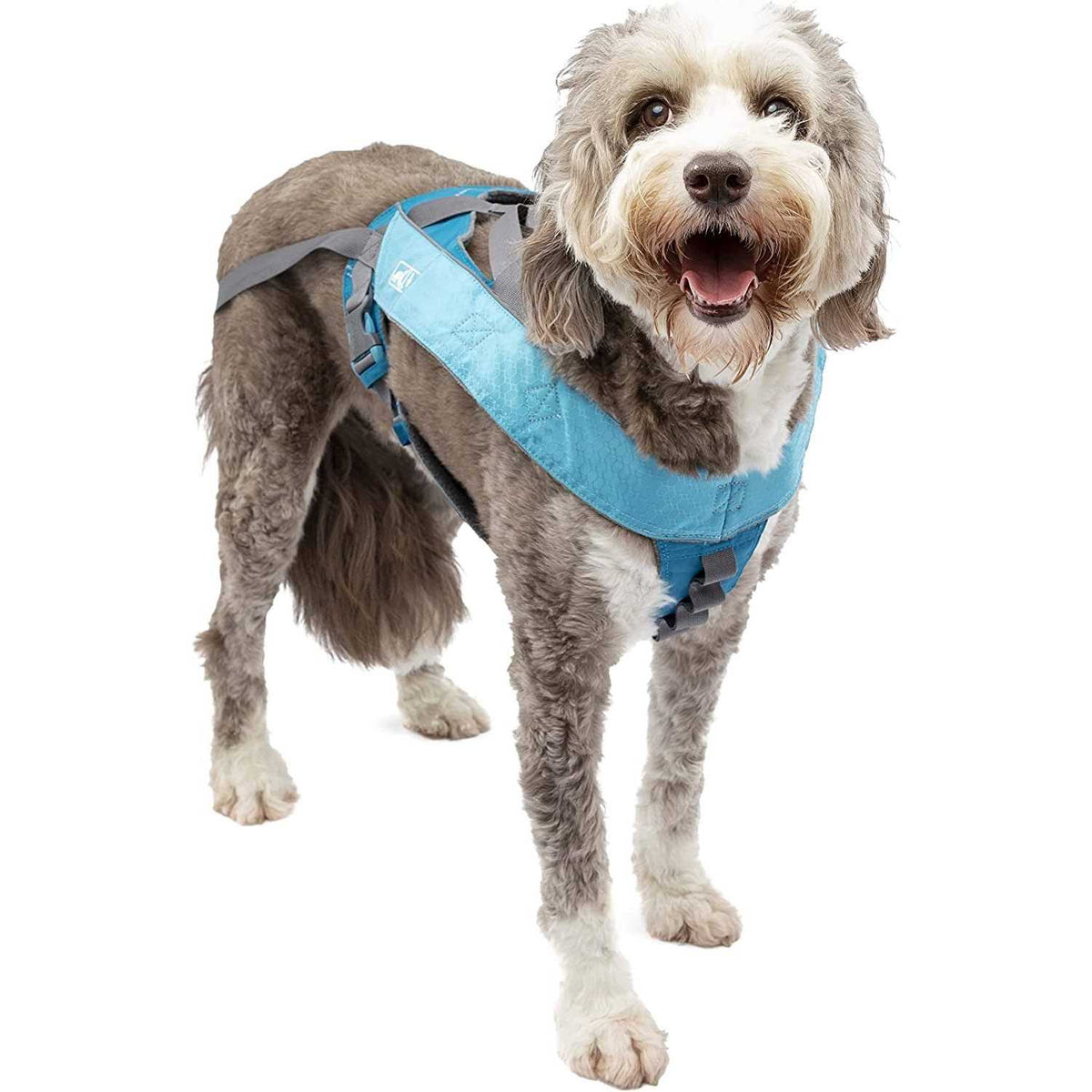 Dog Harness O516824