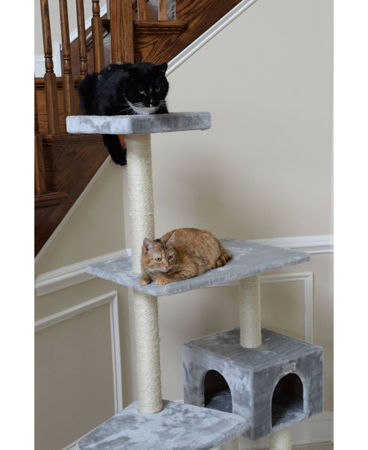 Cat Tree 57-inch Silver Gray Q42027