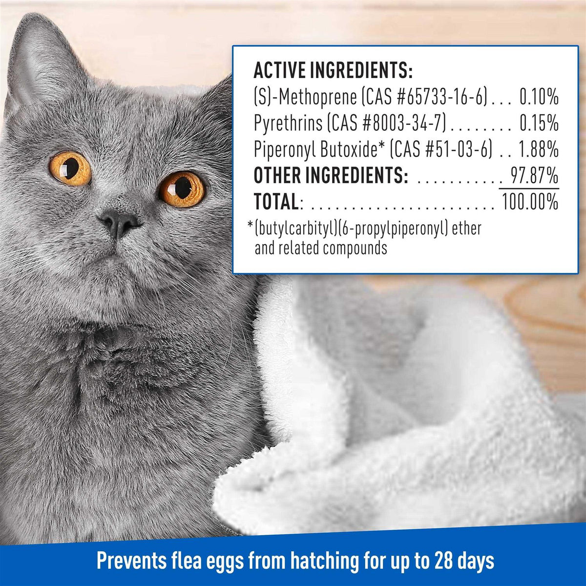 Flea & Tick Foaming Shampoo & Wash for Cats & Kittens R13291
