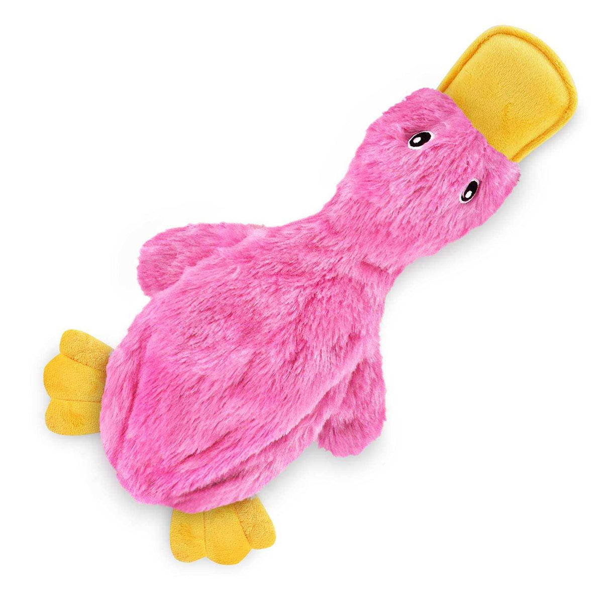 Crinkle Dog Toy with Soft Squeaker B70255