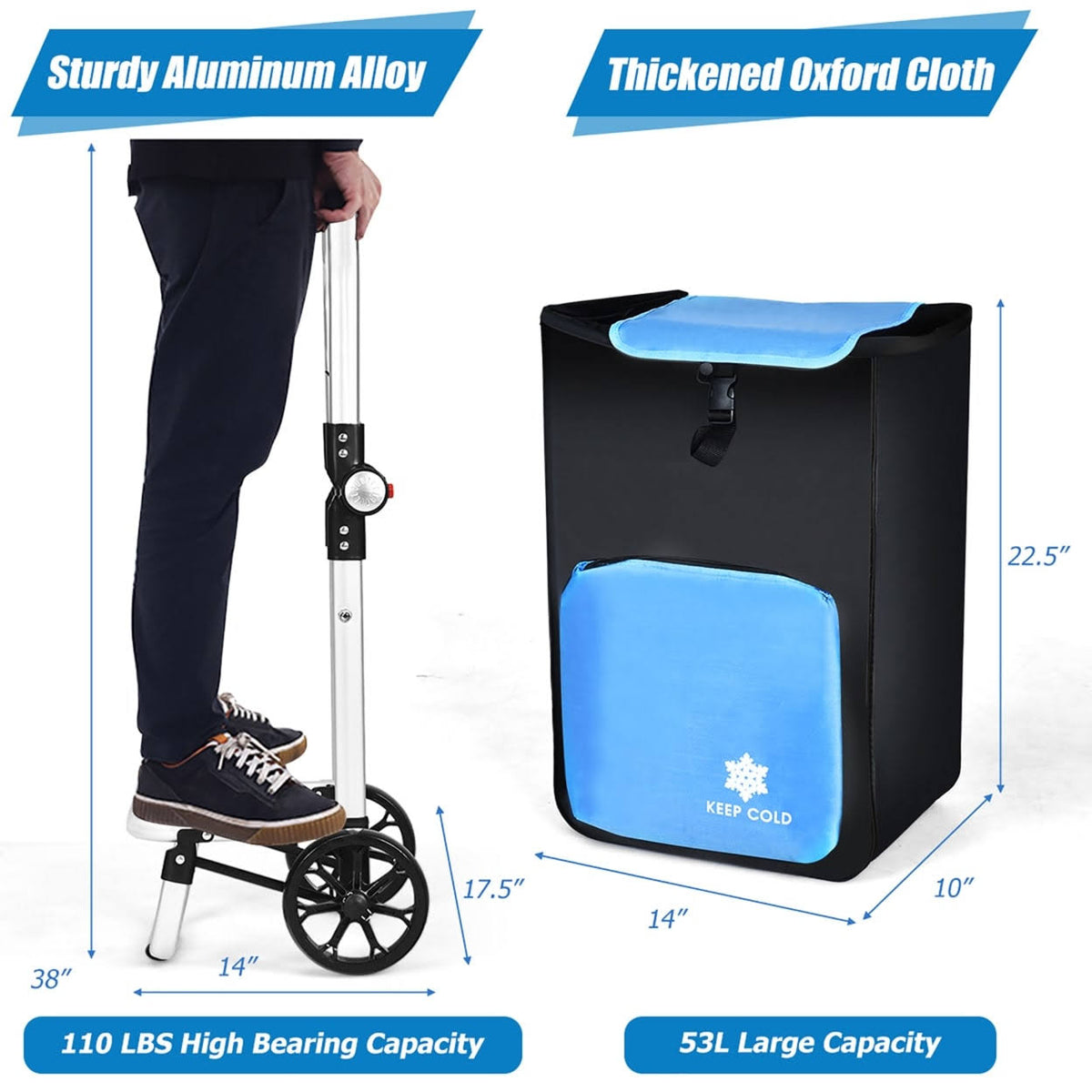 Folding Utility Cart with Removable Bag R2254