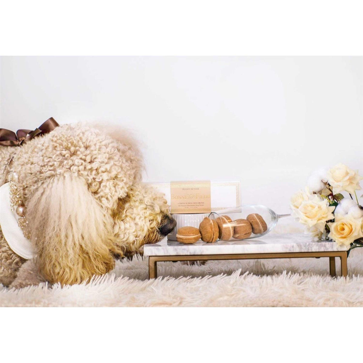 Dog Macarons Z5410