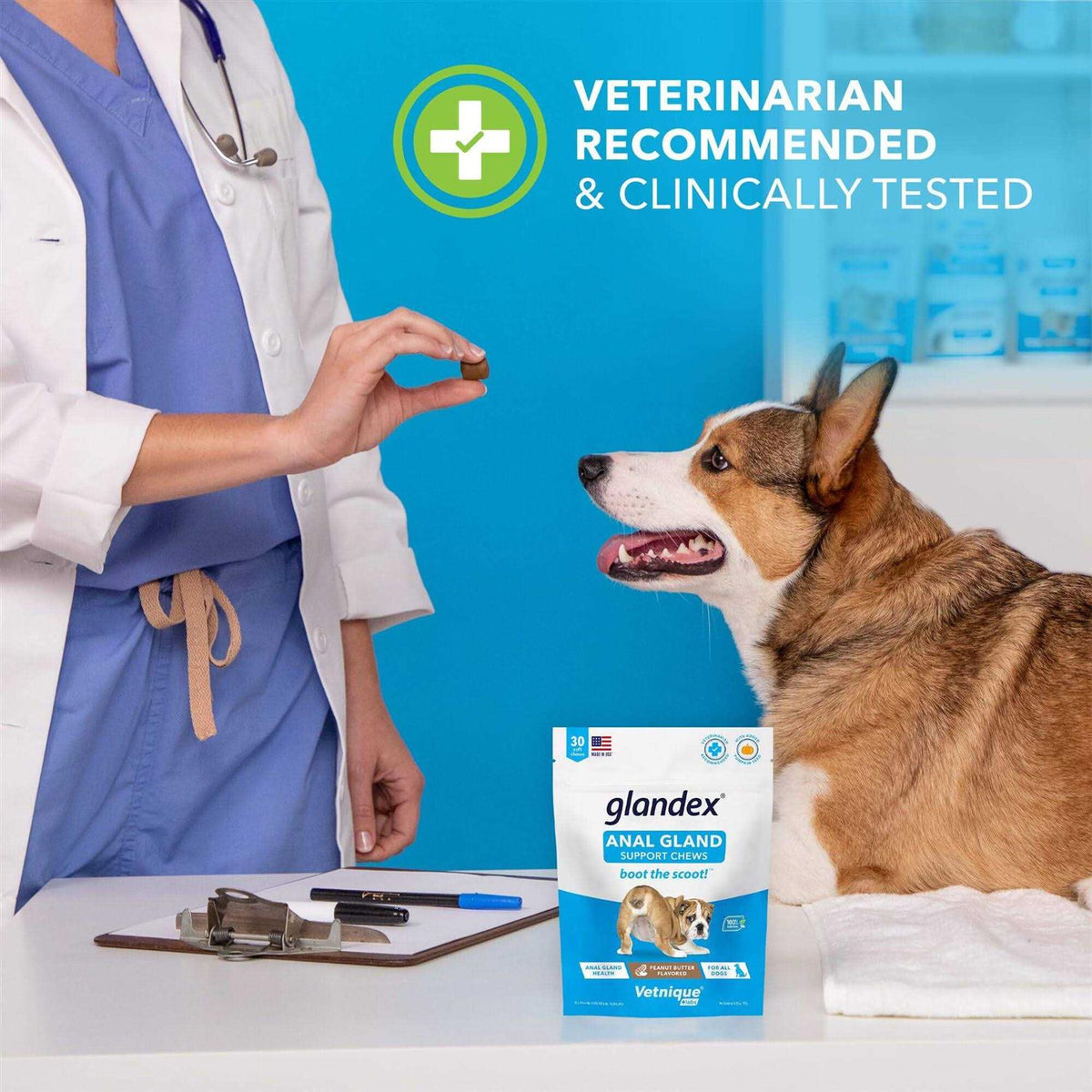 Anal Gland Soft Chews Supplement for Dogs X63048