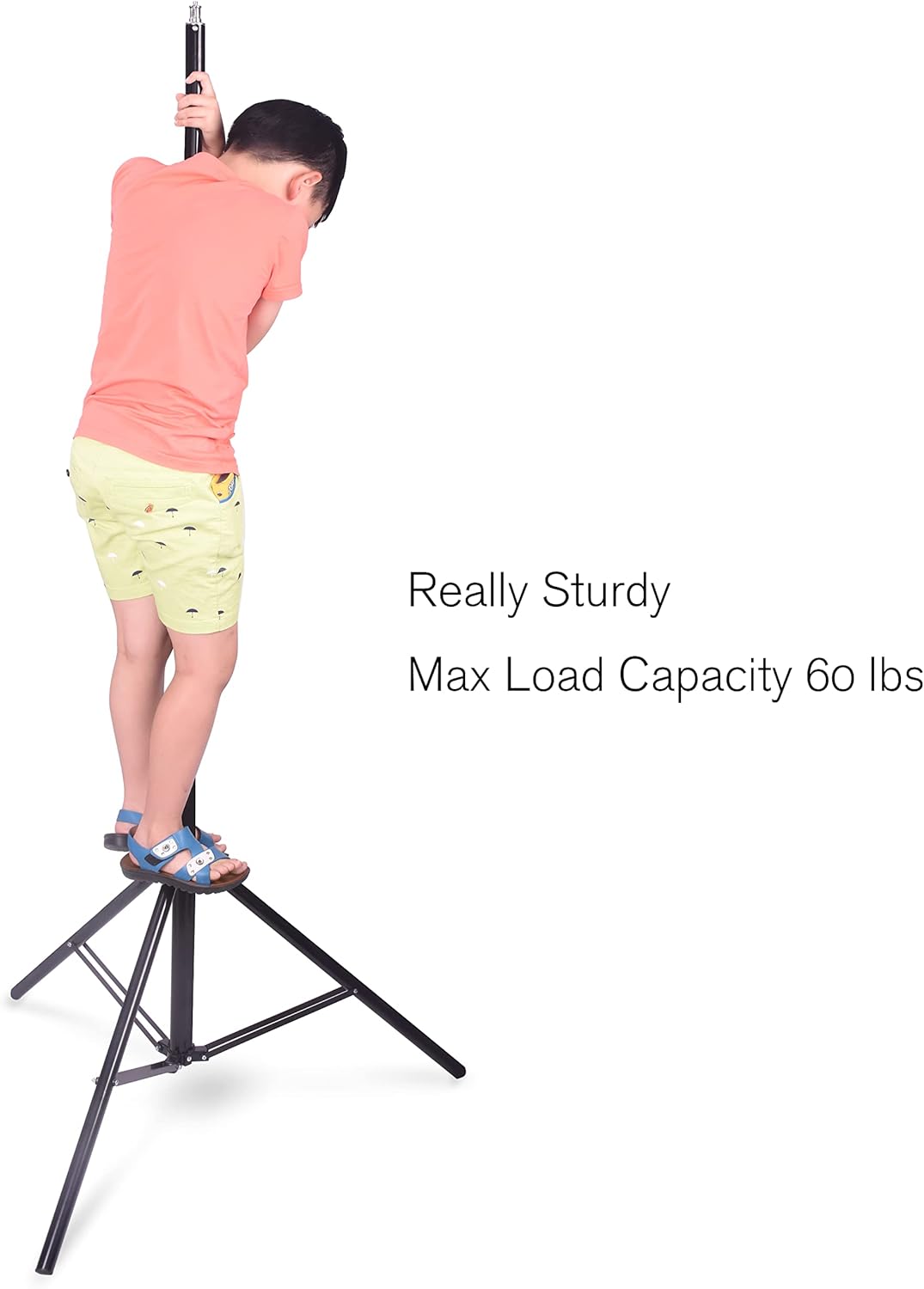 8.5ft Adjustable Aluminum Light Stand with Carrying Bag, 2 Pack R52412