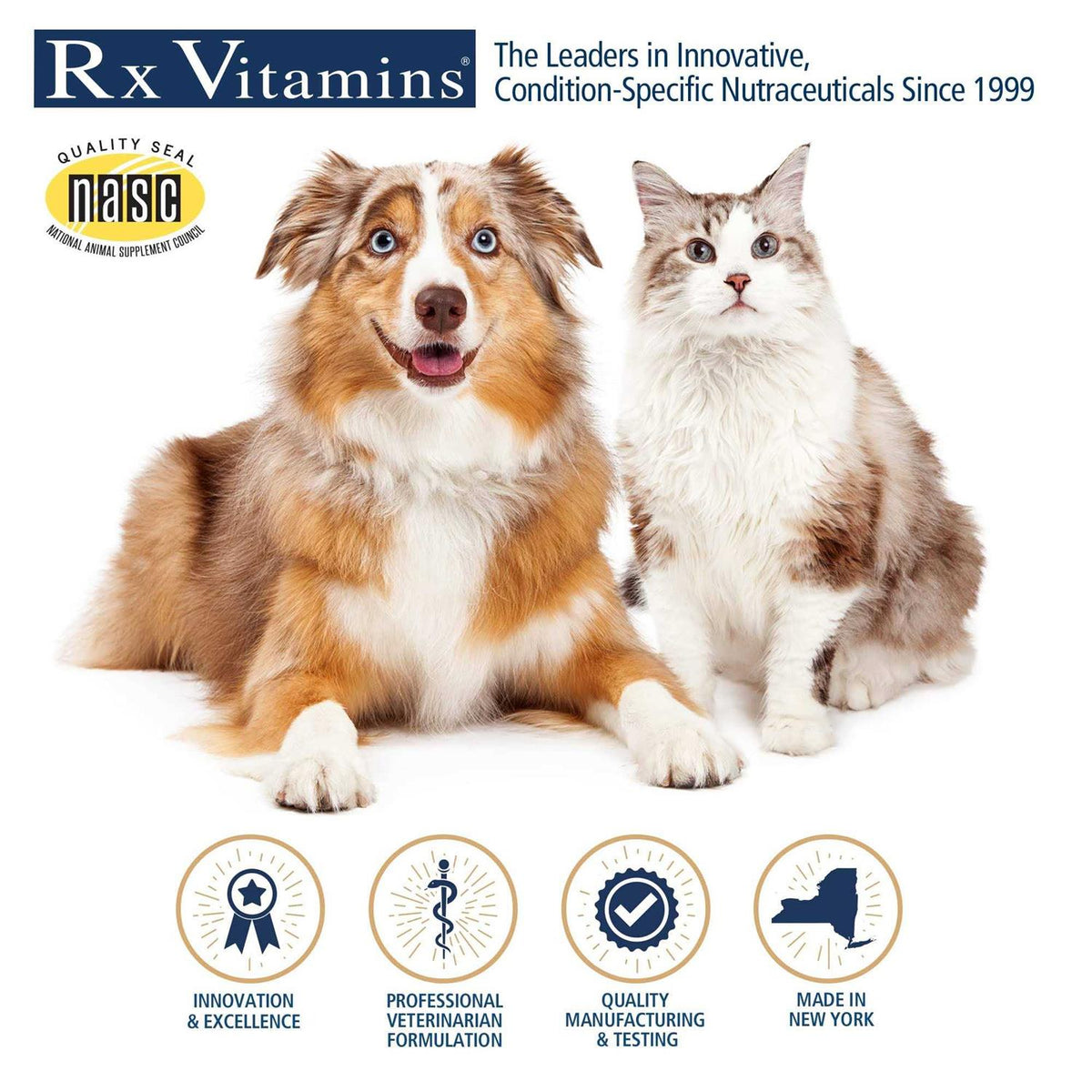 Hepato Support for Pets B6323