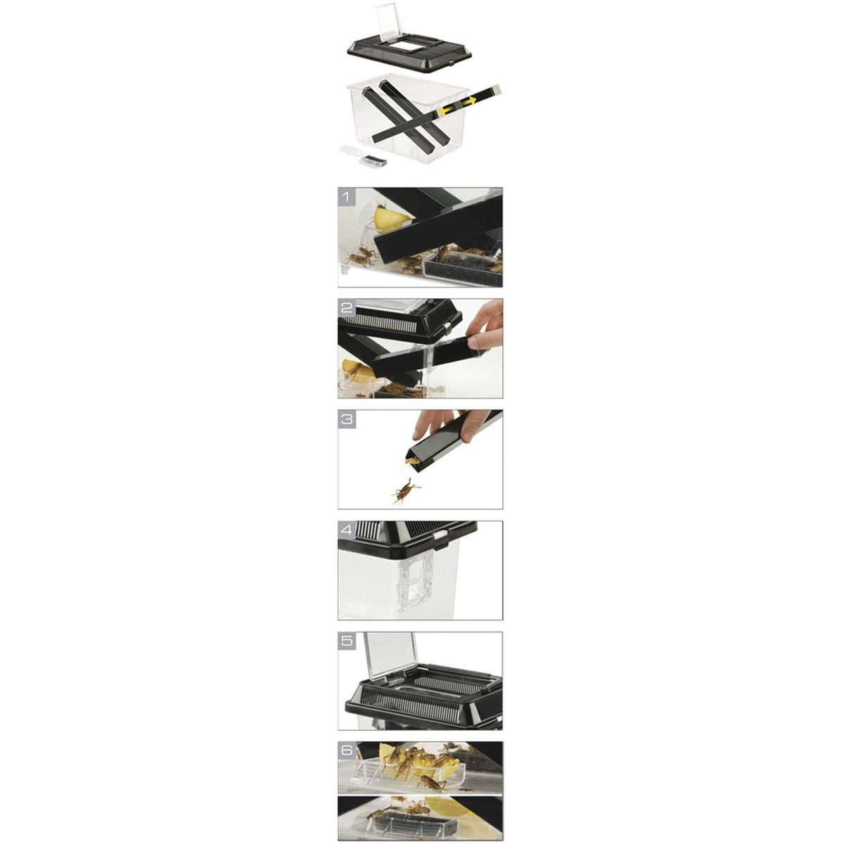Cricket Pen D5958