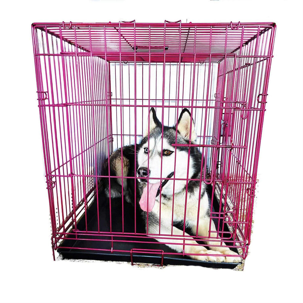 Colored Metal Wire Dog Crate S9705