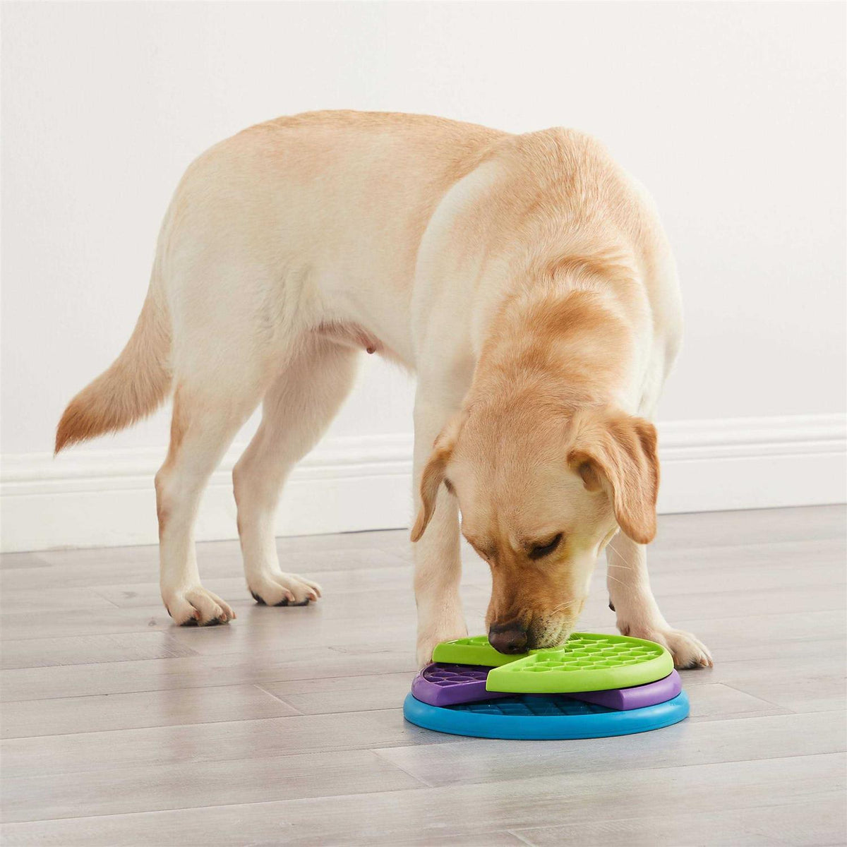 Dog Puzzle Game G9389