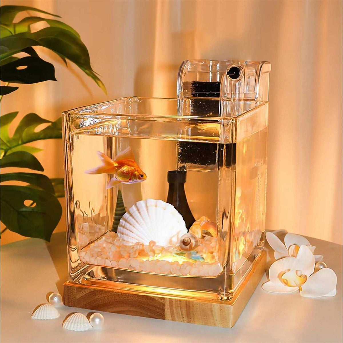 0.81 Gallon Glass Fish Tank Kit D701691