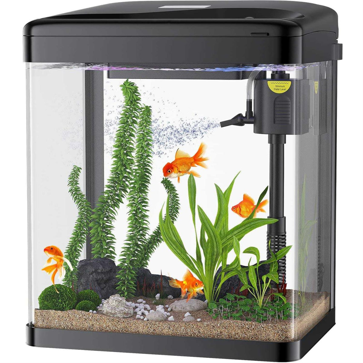 2 Gallon Glass Aquarium with Filter and Light U752621
