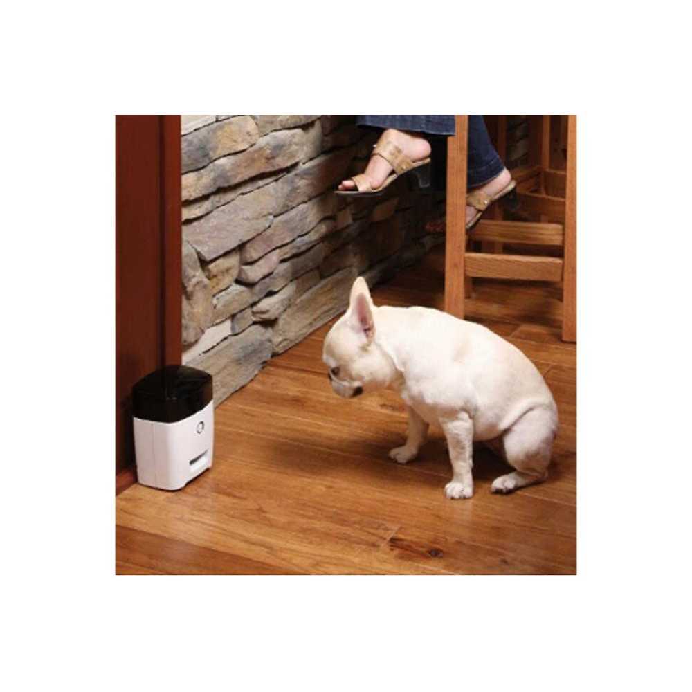 Dog Treat Dispenser Q613027