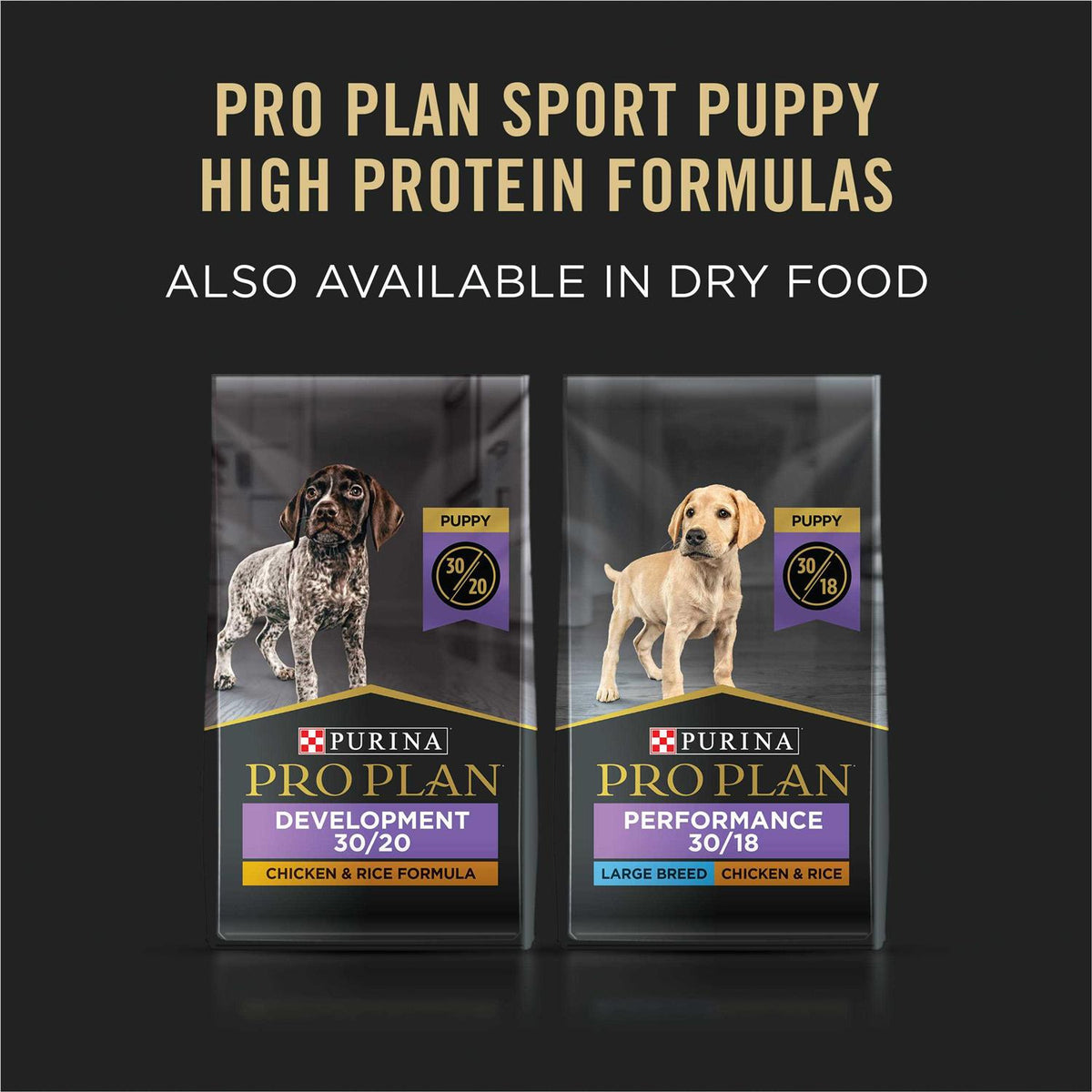 Beef Chicken & Rice Wet Puppy Food Variety Pack S3109