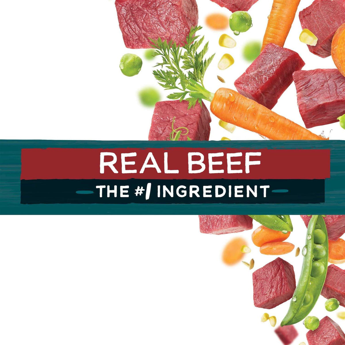 Beef Dry Dog Food N762