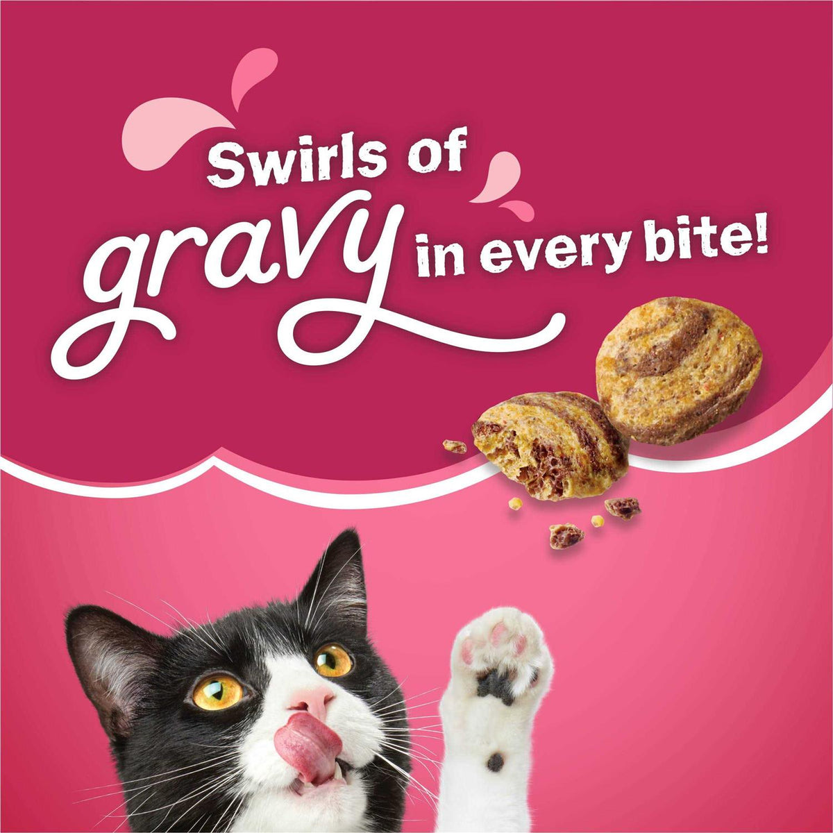 Dry Cat Food V831