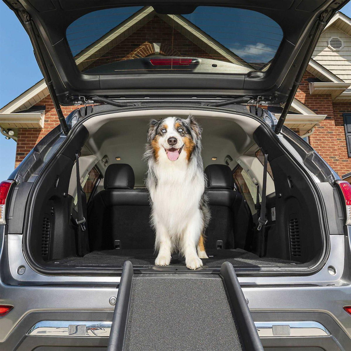 Folding Pet Ramp S78340