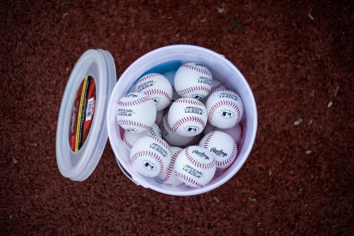 24 Pack Baseballs W431244