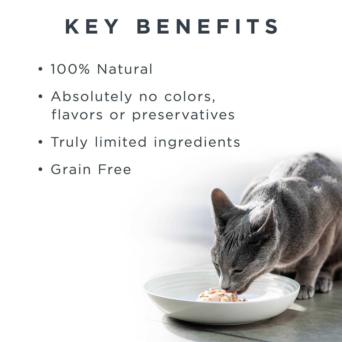 Gravy Tuna Fillet Grain Free Cat Food Y260