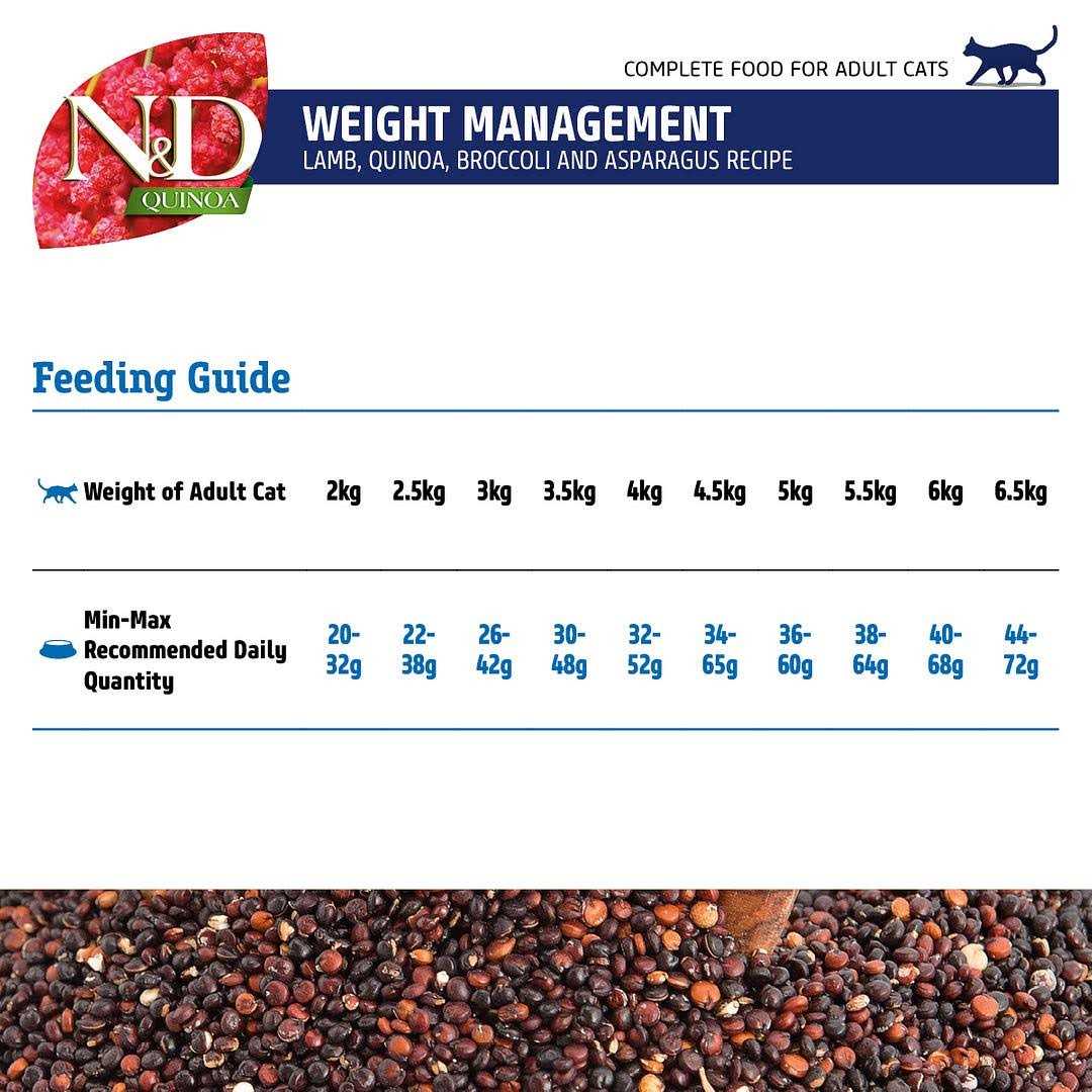 Lamb Dry Cat Food W5704