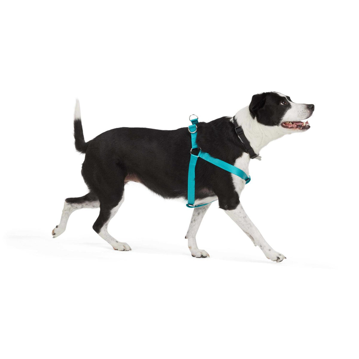 Dog Harness D6833