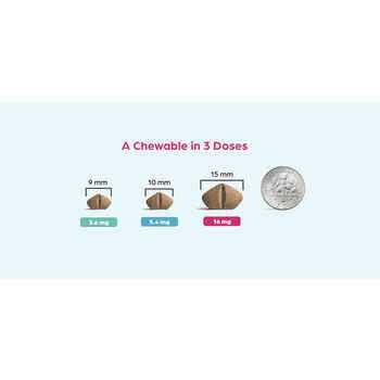 Chewable for Dogs B9620