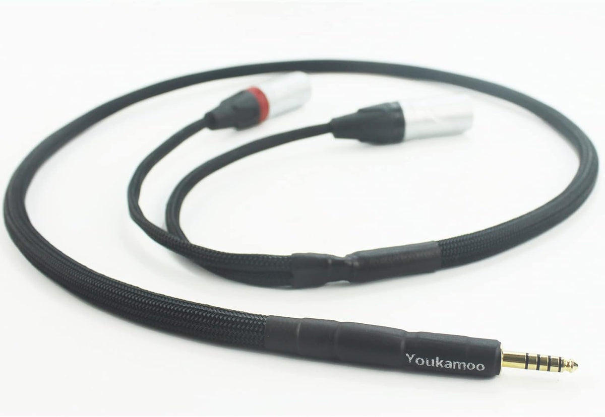 4.4mm to Dual XLR Male Balanced Audio Adapter Cable 5 FT Pack of 2 E9704