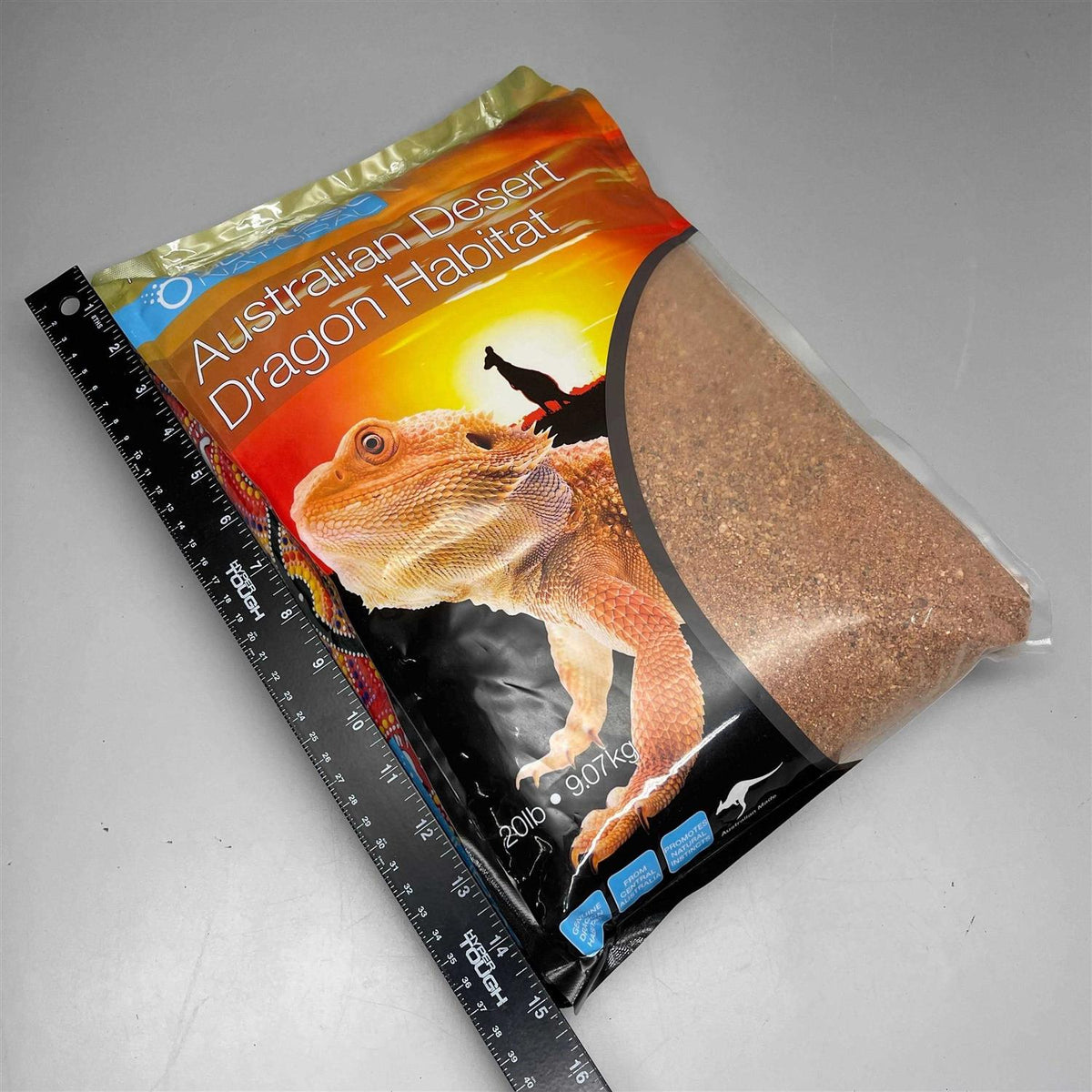 Australian Desert Dragon Habitat Y24689