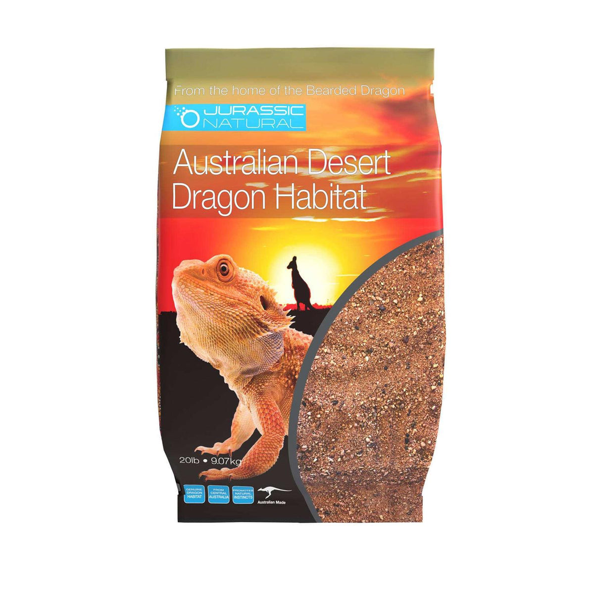 Australian Desert Dragon Habitat Y24689