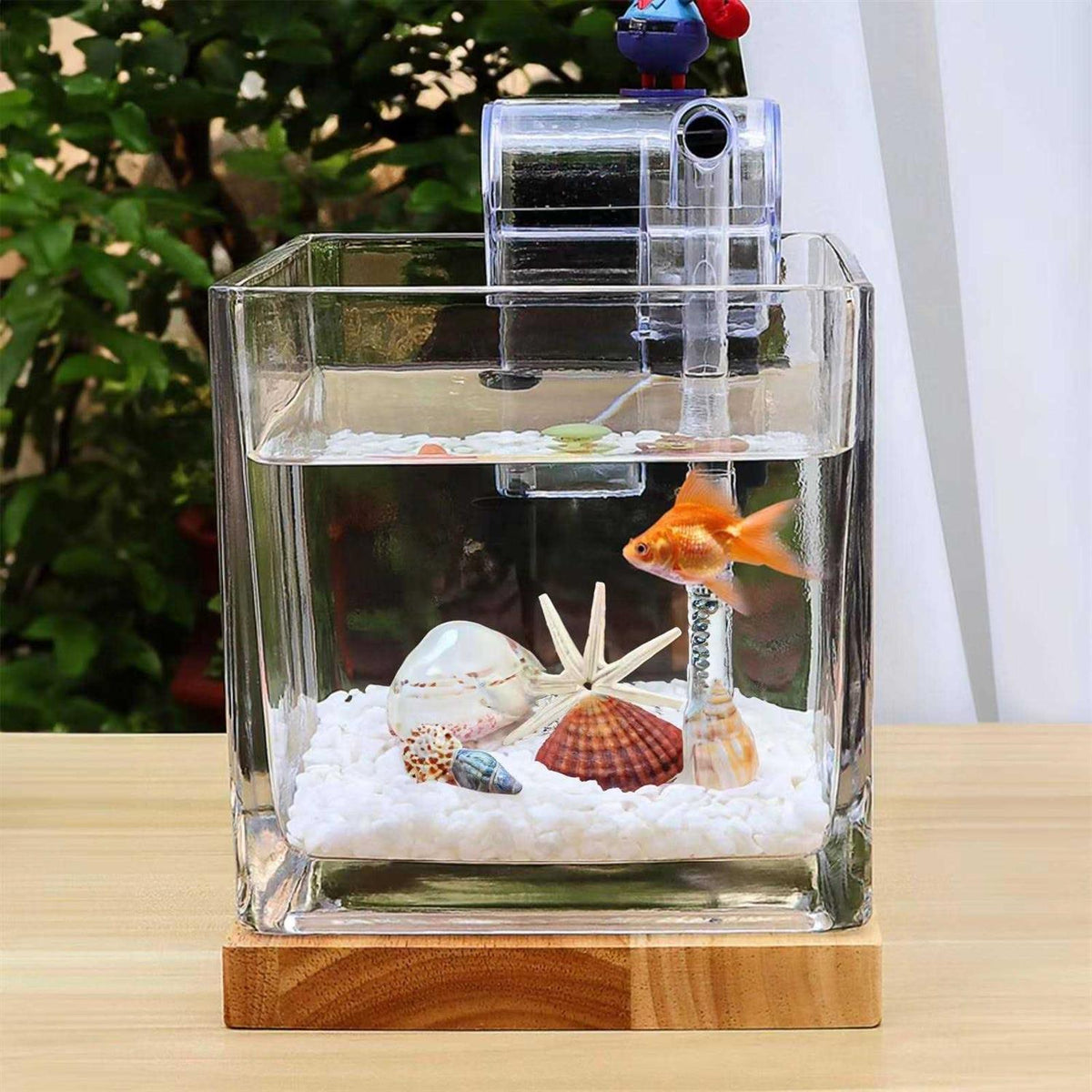0.81 Gallon Glass Fish Tank Kit D701691