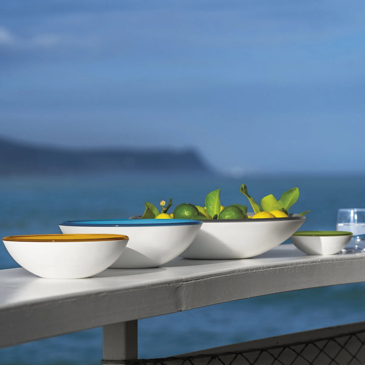 Kiwi Bowl L56354