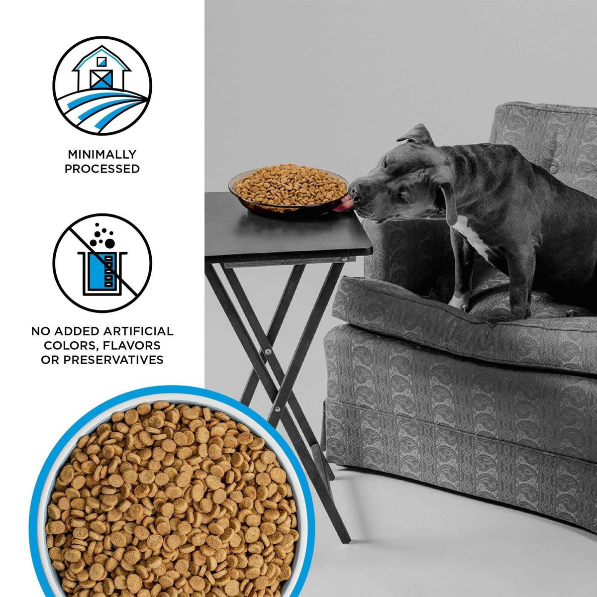 Grain-Free Dry Dog Food Q10438
