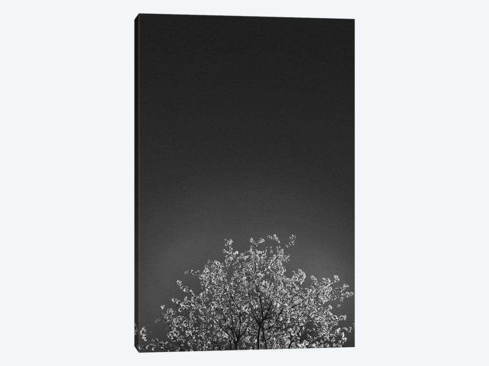 Canvas Art Wall Decor R720